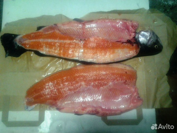 Форель Оптом