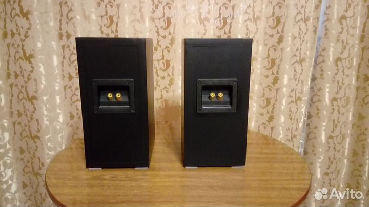 DIY акустика Fostex P1000K