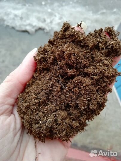 Класманн (торф), Агробалт, двина (белорусский торф