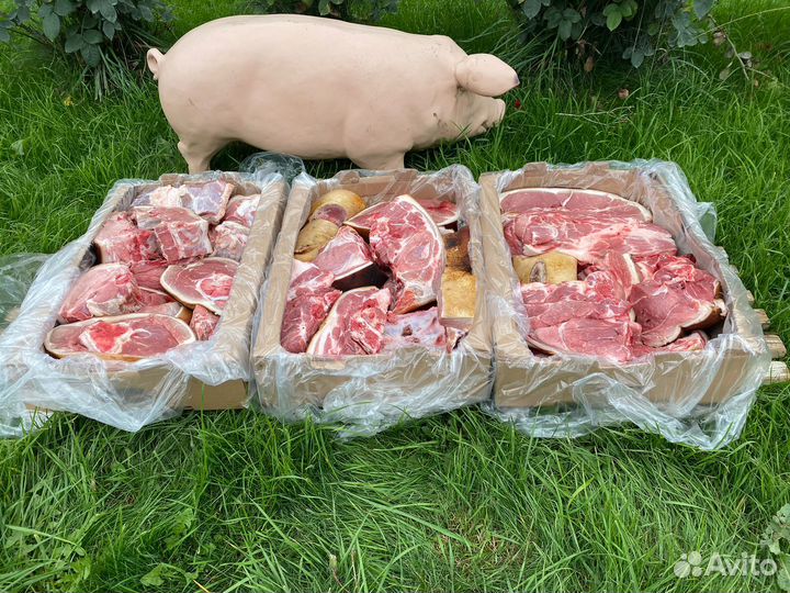 Фермерское мясо свинина