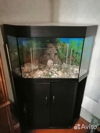 Аквариум