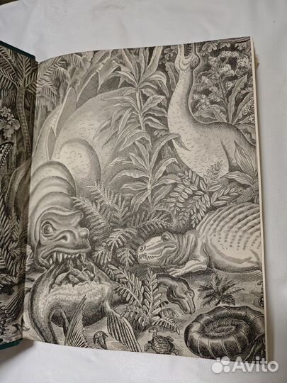 След динозавра Яковлева Ирина Николаевна