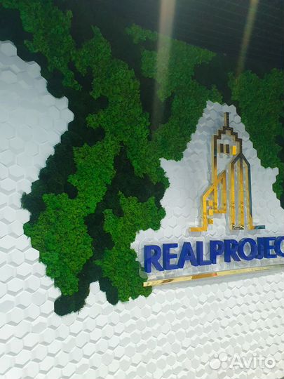 Вертикальное озеленение мхом