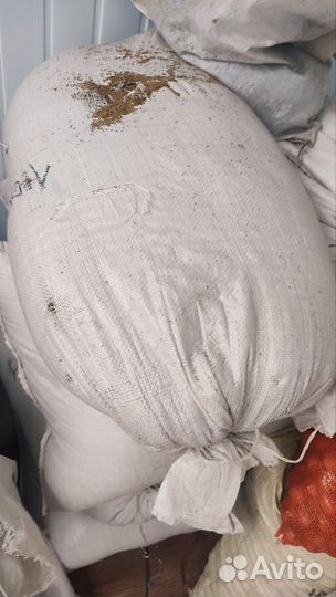 Семена люцерны