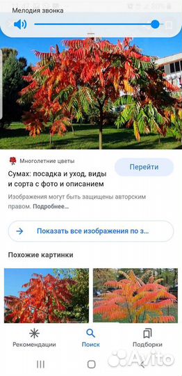 Суммах оленерогий