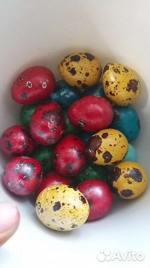 Яйца перепелиные домашние