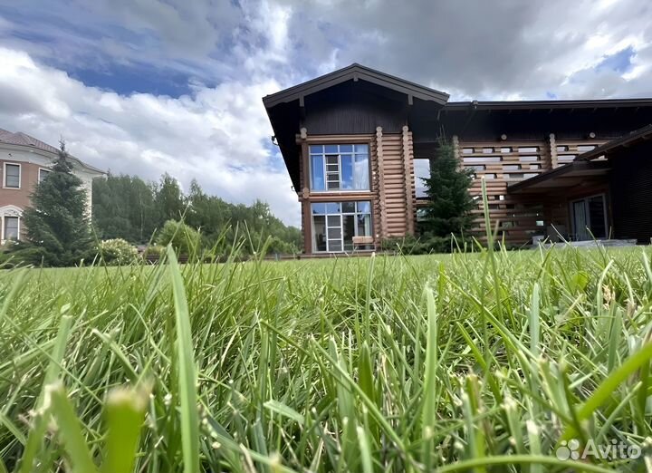 Рулонный газон