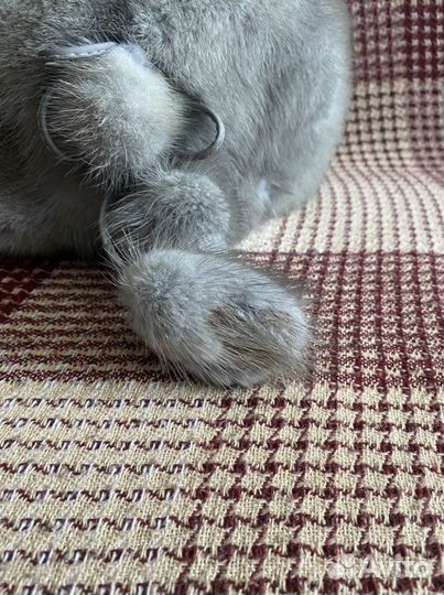 Зимняя шапка из натуральной норки, винтаж