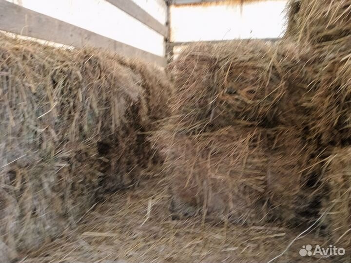 Сено в тюках