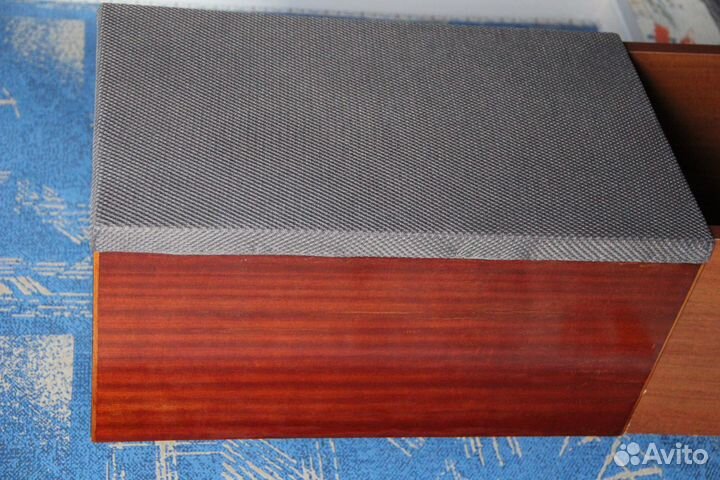 Колонки Вега 25ас 109