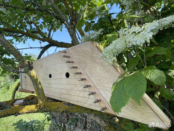 Гусли крыловидные звончатые 10 струн