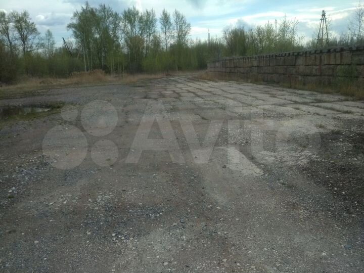 Участок 50 сот. (промназначения)