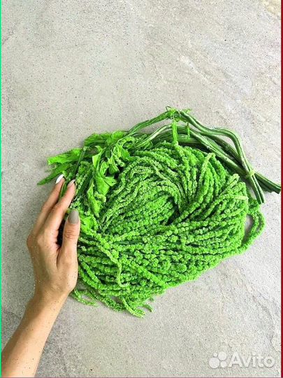 Амаpaнт крапива, ель, утолщенный