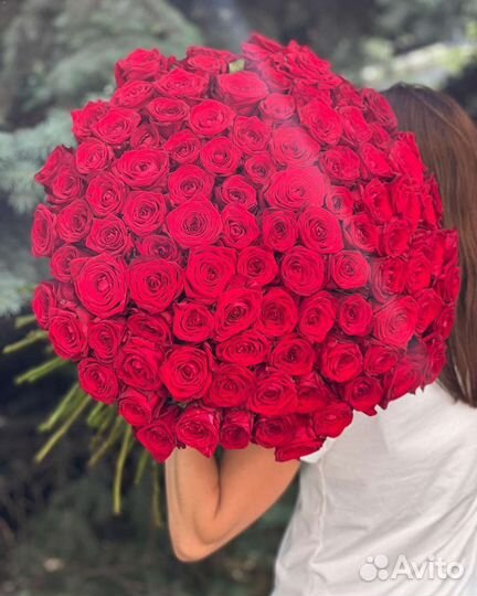 Розы красные. Букет из роз. 101 51 35 25 15