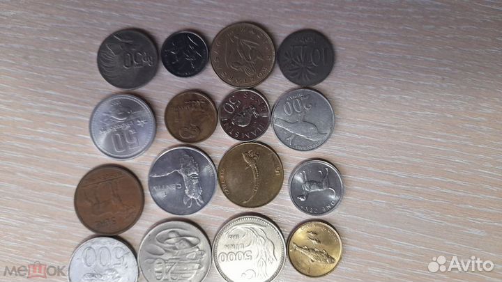 Подборка монет фауна