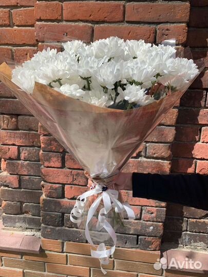 Хризантема