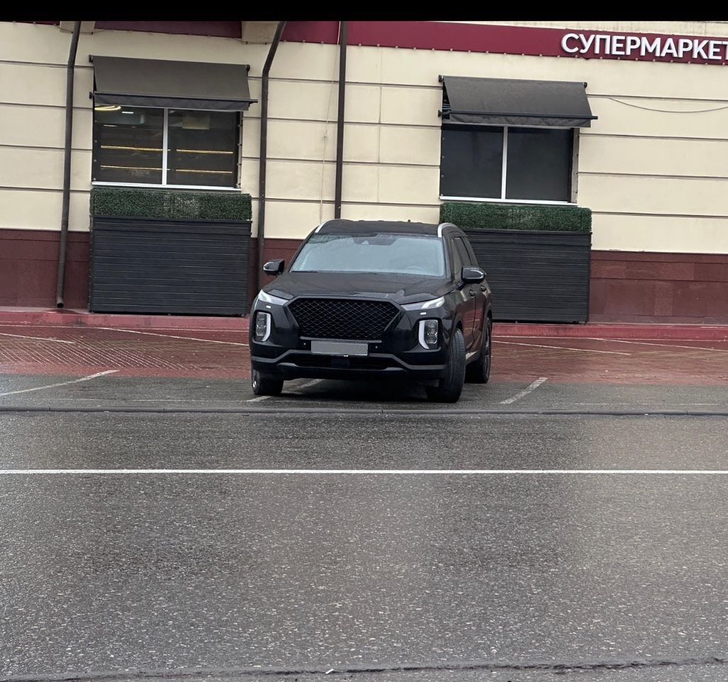 Hyundai Palisade: фото из отзыва