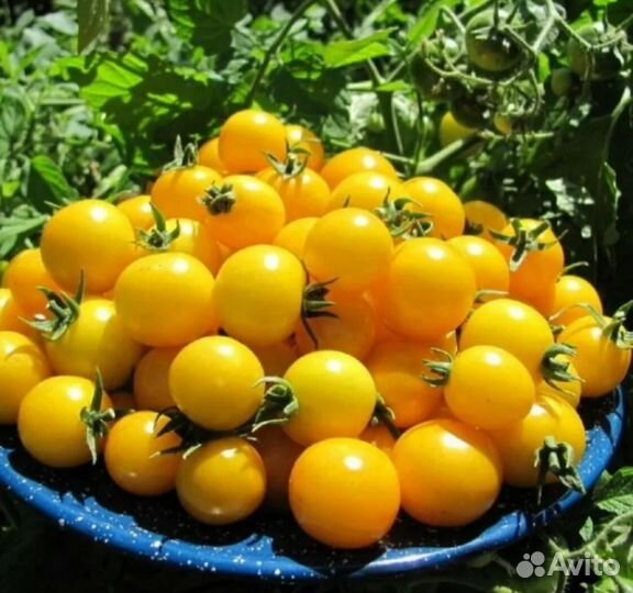 Тыква Миллион черри семена