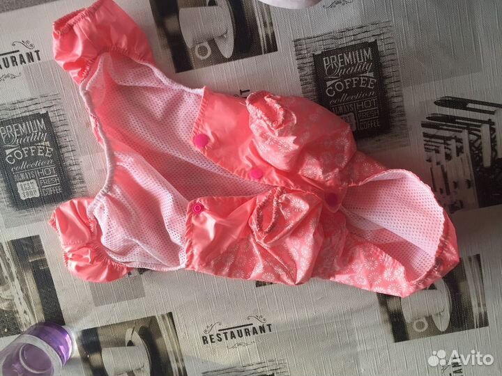 Одежда для маленьких собак