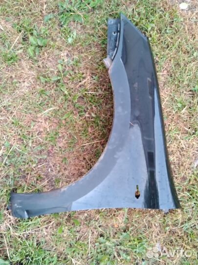 Крылья передние