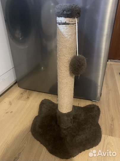 Когтеточка