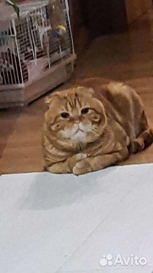 Ждём на вязку