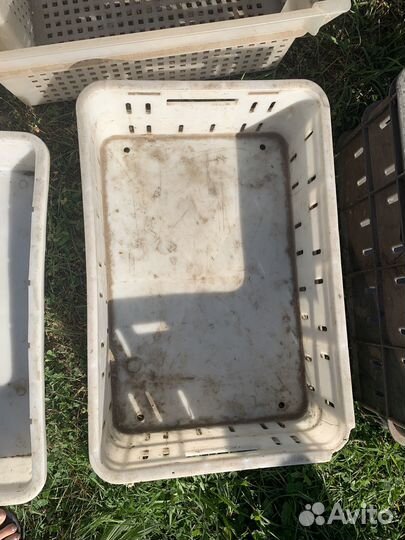 Пластиковые ящики для овощей и фруктов