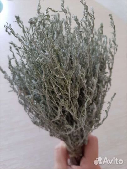 Веники и скрутки из полыни