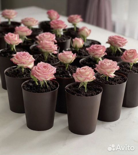 Сладкие подарки