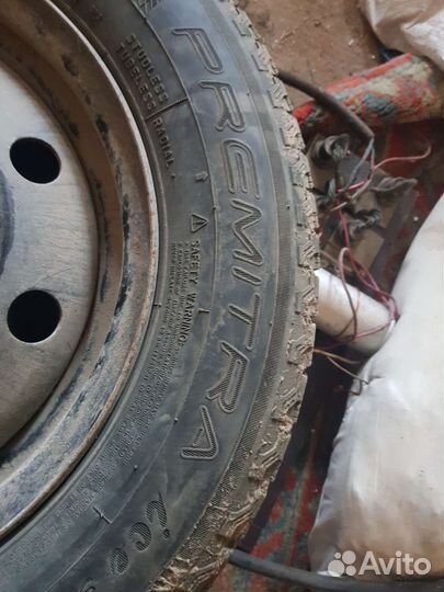 Maxxis Premitra Ice Nord NP5 185/70 R14