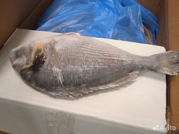 Лосось стейки.Лангустины. Дорадо. Креветки. Краб