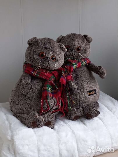 Кошки коллекция