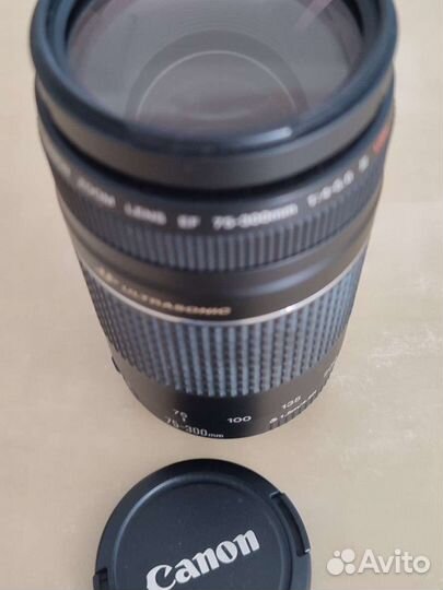 Canon EF 75-300mm f/4-5.6 III