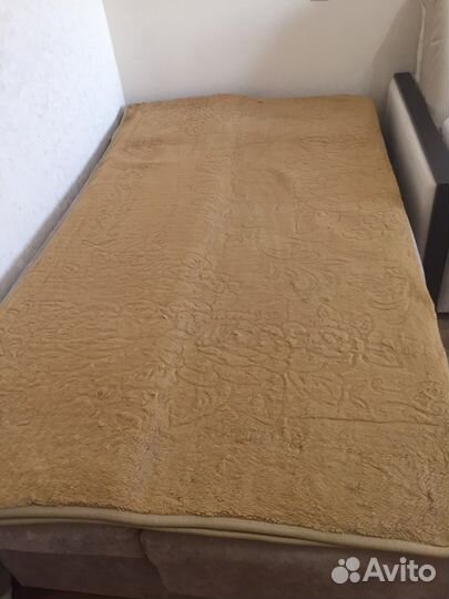 Плед (Польша )