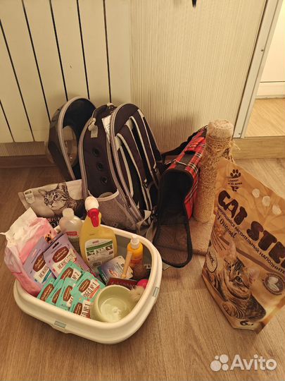 Все необходимые Принадлежности для кошек и котов