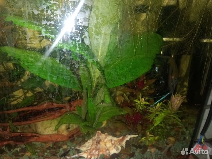 Аквариум 40л