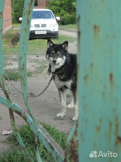 Цифровой фотоаппарат sony cyber shot w380