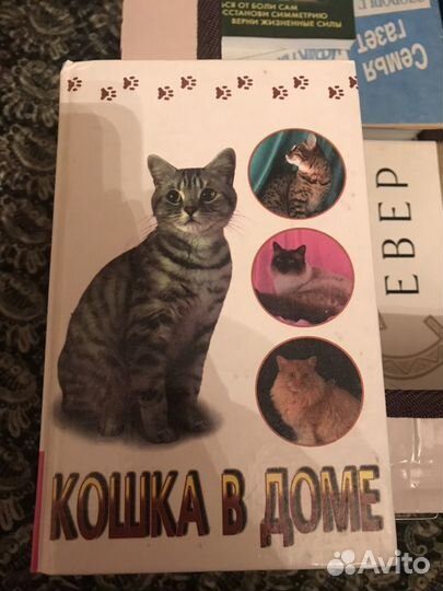 Про кошек