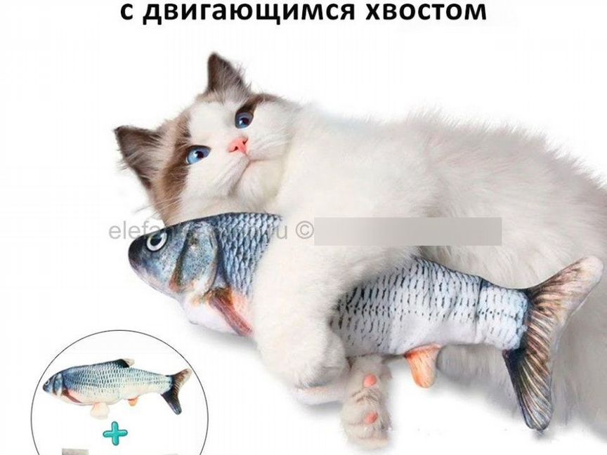 Рыбка игрушка для кошки