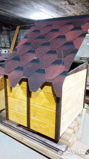 Собачья будка