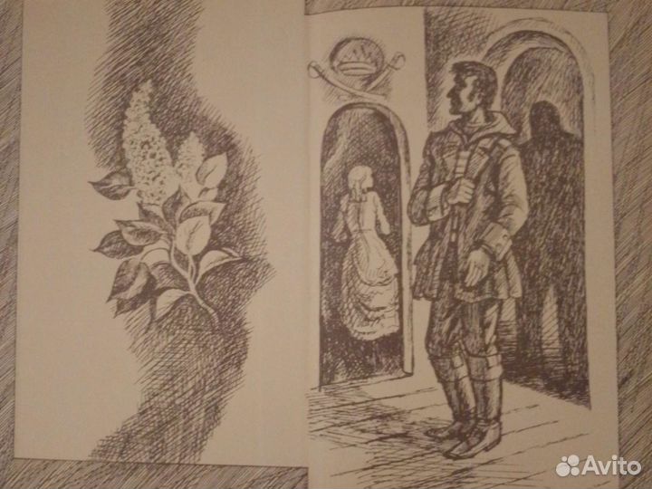 Книга: Необыкновенные приключения капитана Плюма