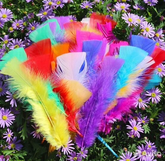 Цветные перья. Индейка перо