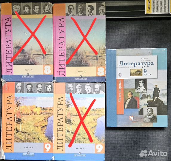 Литература 9 кл, Ланин, Устинова