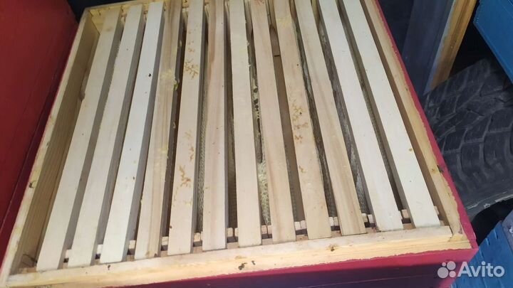 Суш для пчёл