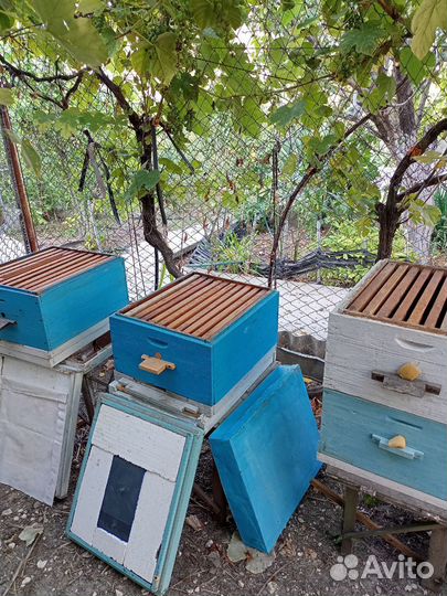 Продам ульи для пчел