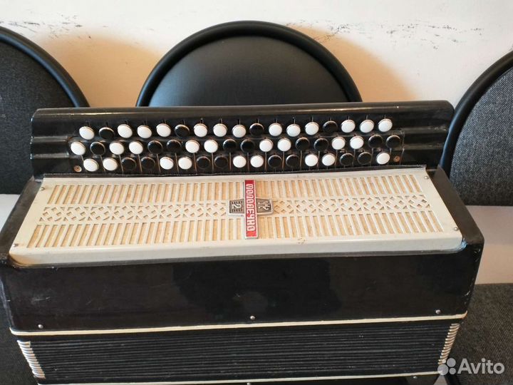 Баян, Молодечно