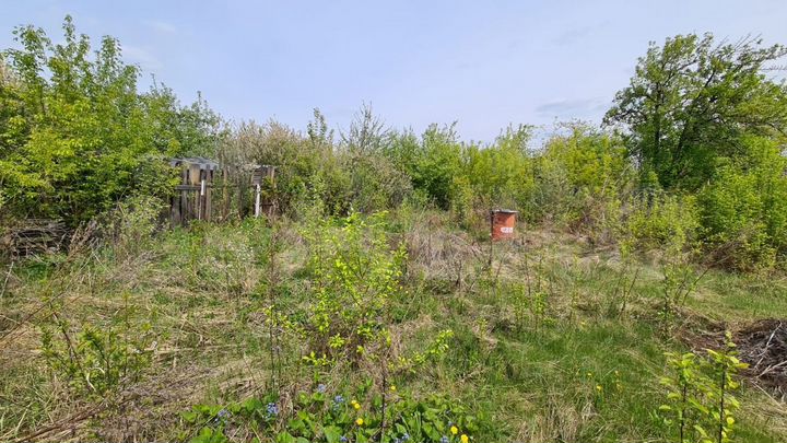 Участок 7,2 сот. (СНТ, ДНП)
