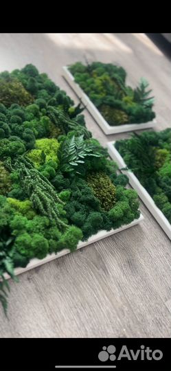 Интерьерные картины