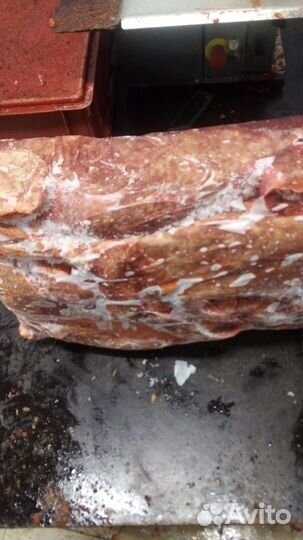 Легкое говяжье в брикетах для собак