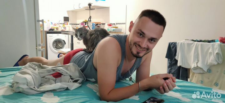 Котоняня кэтситтер